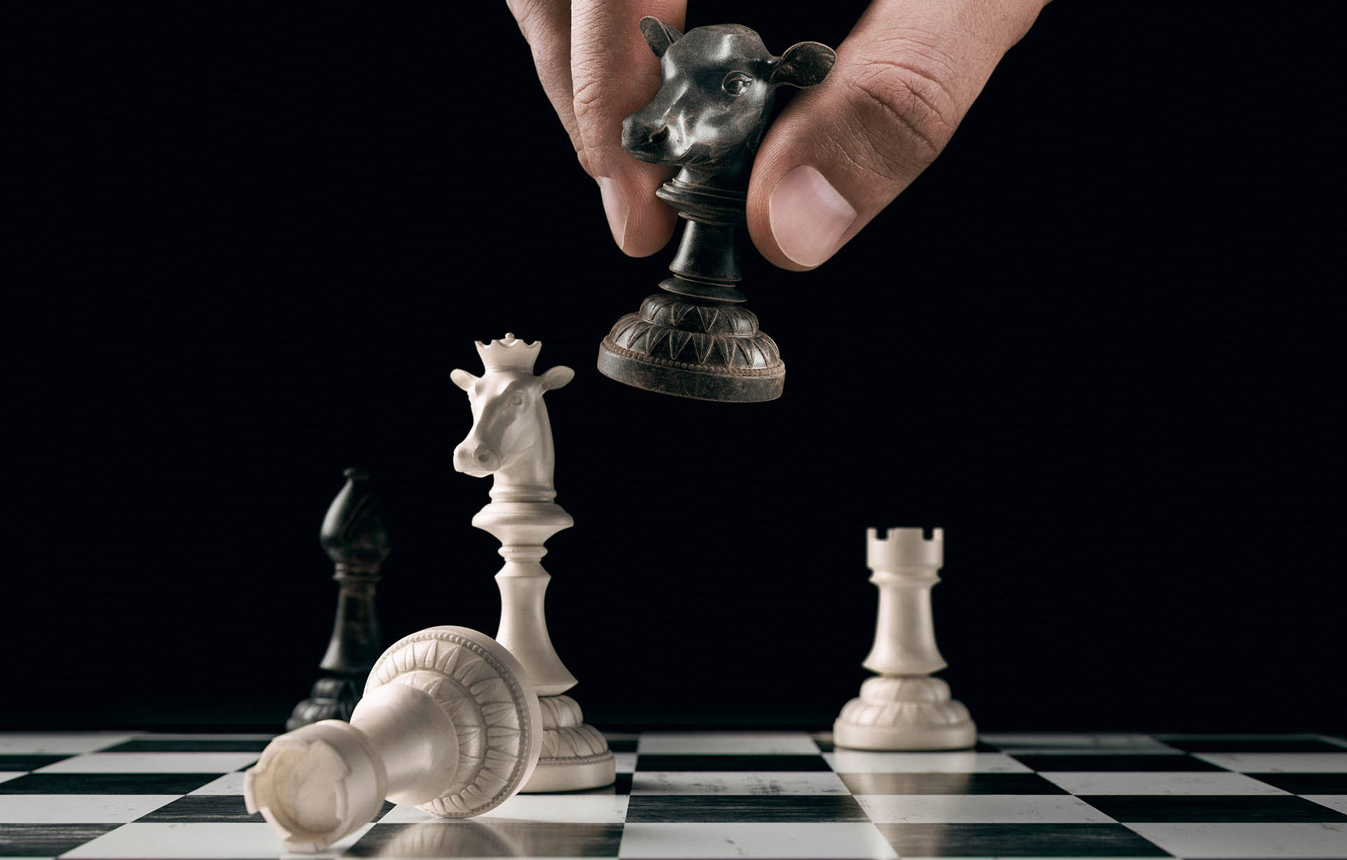 Cargill RDS – Chess