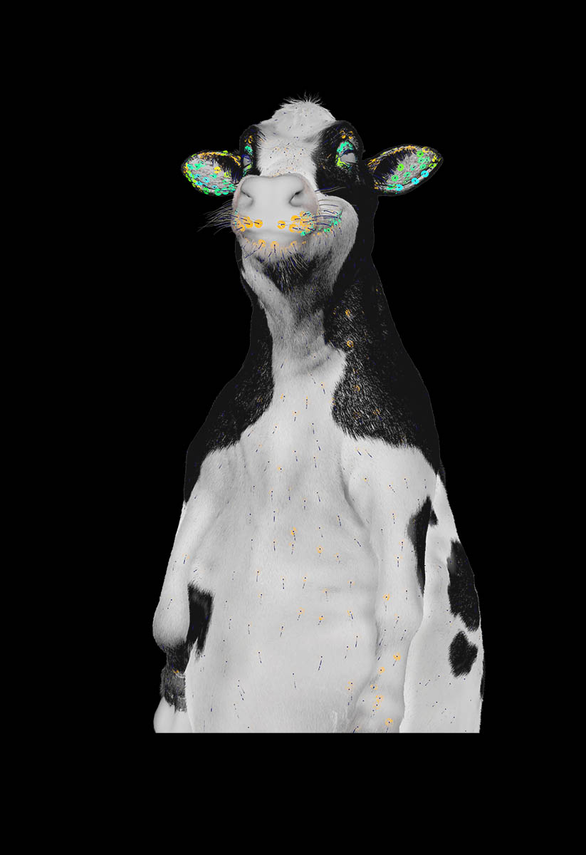 B612Studio_cargilltakeheateasy_09
