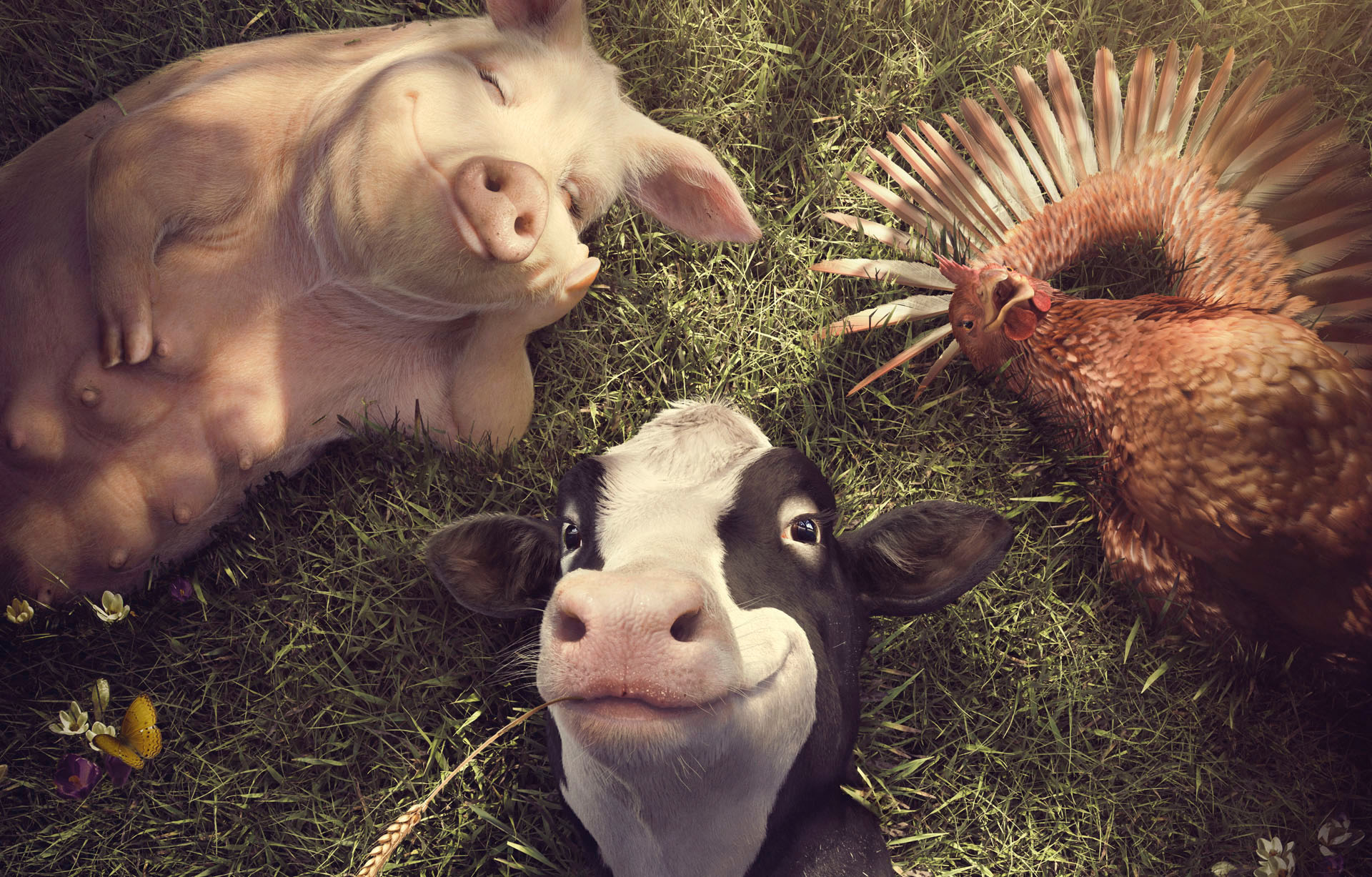 Cargill – Take heat easy