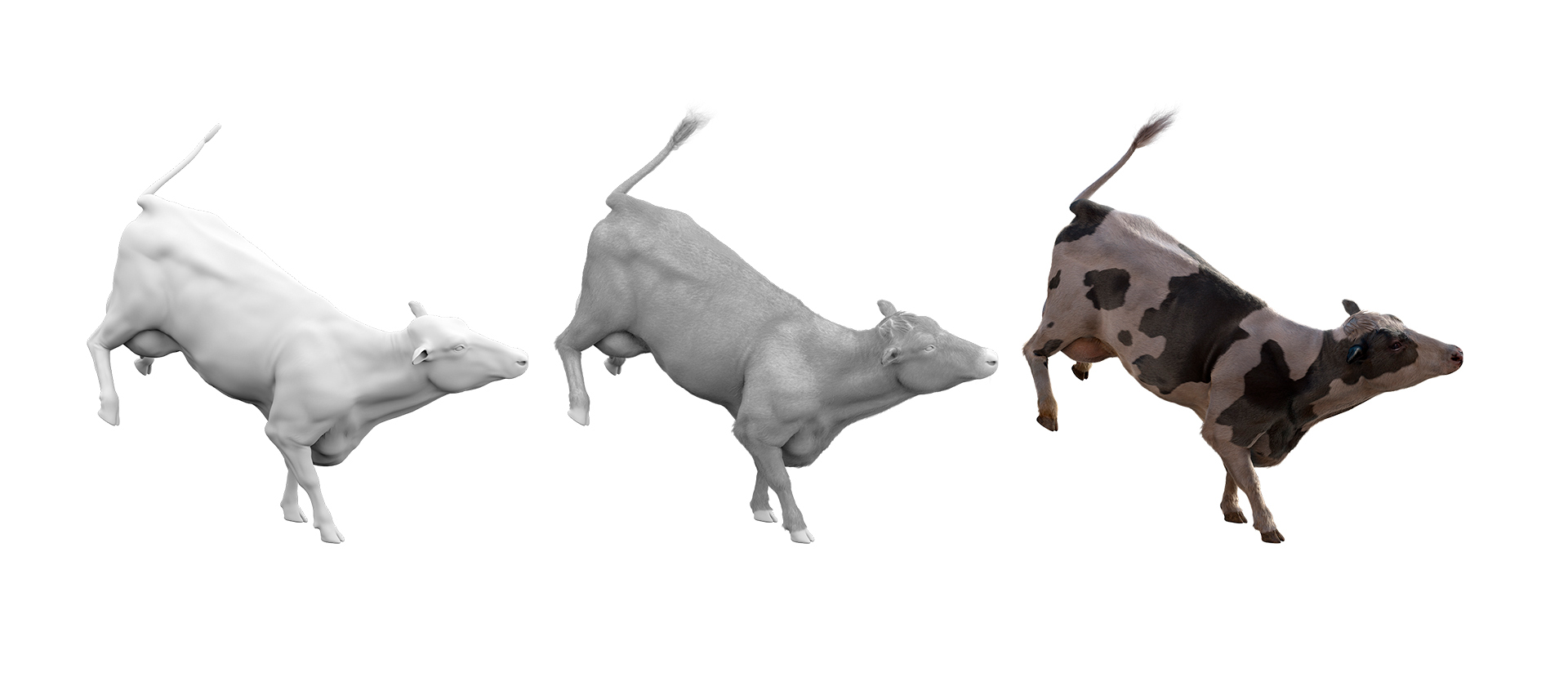 B612Studio_cow_06