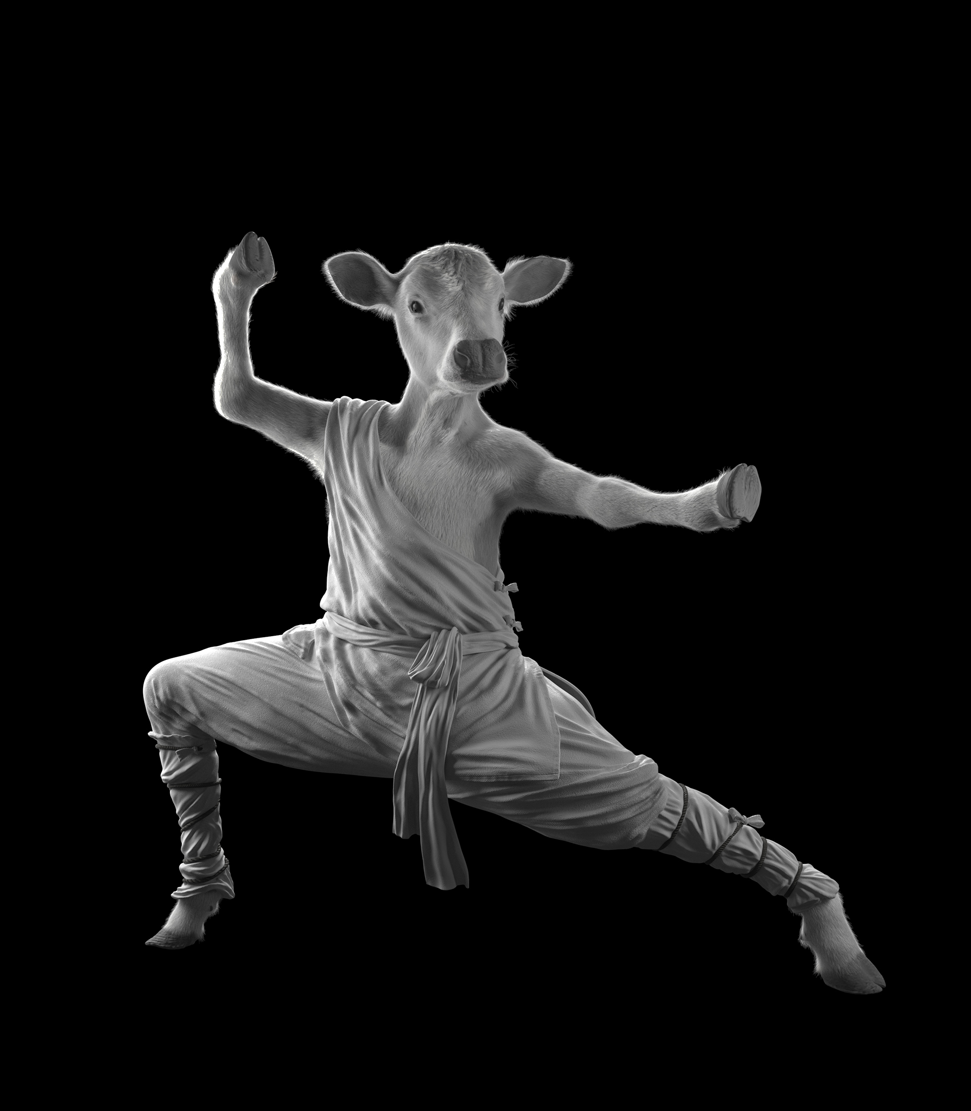 B612Studio_purinaimmunitek2_05