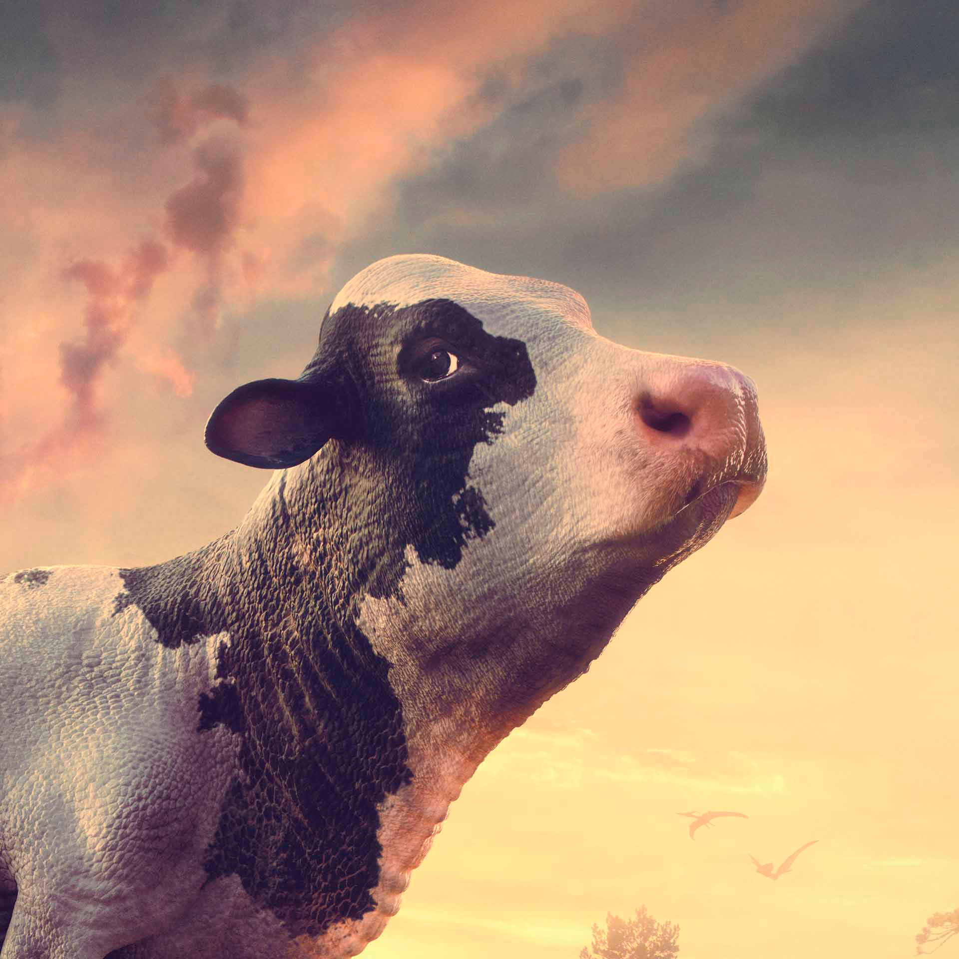 B612Studio_purinajurassicfarm_02