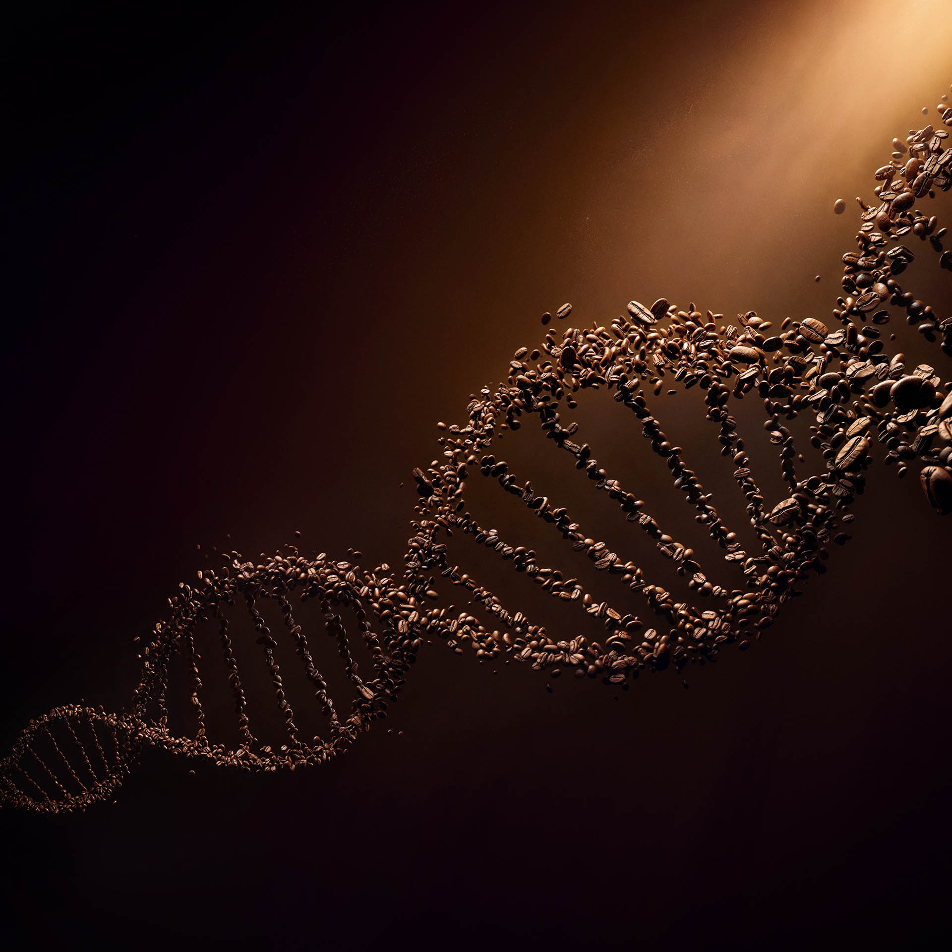 Lavazza_dna_1