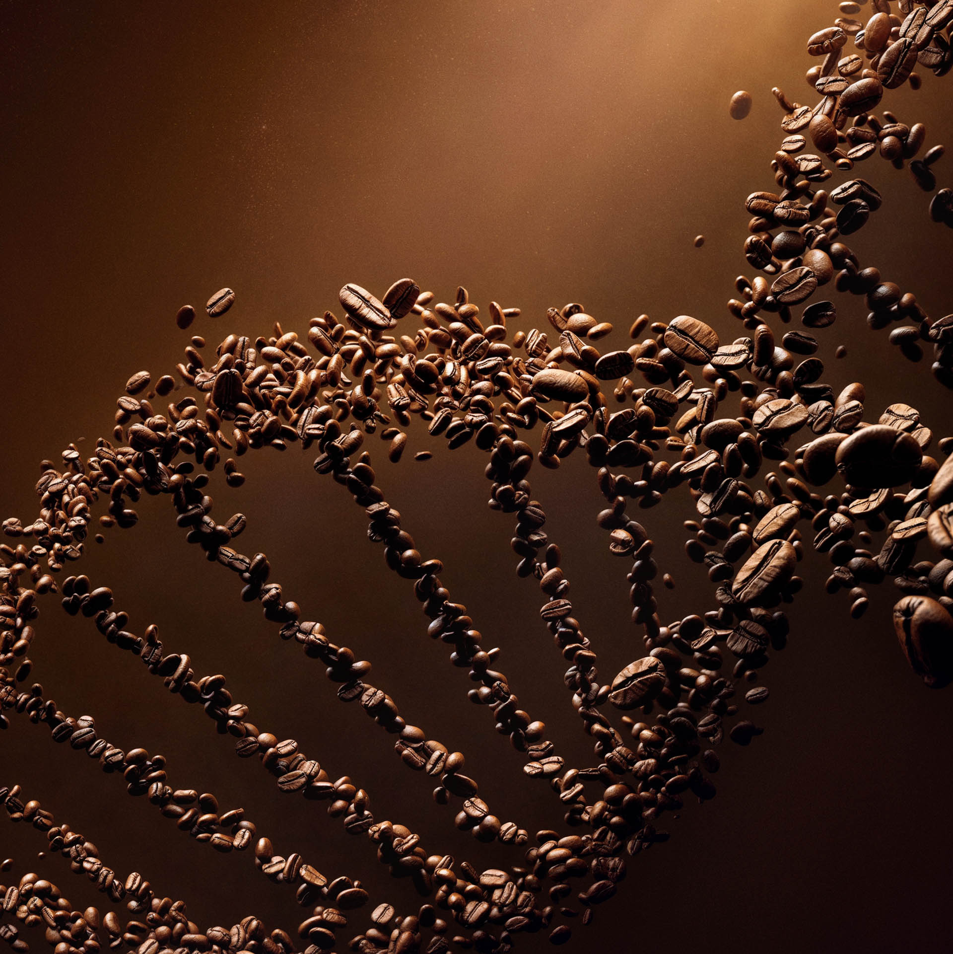 Lavazza_dna_2