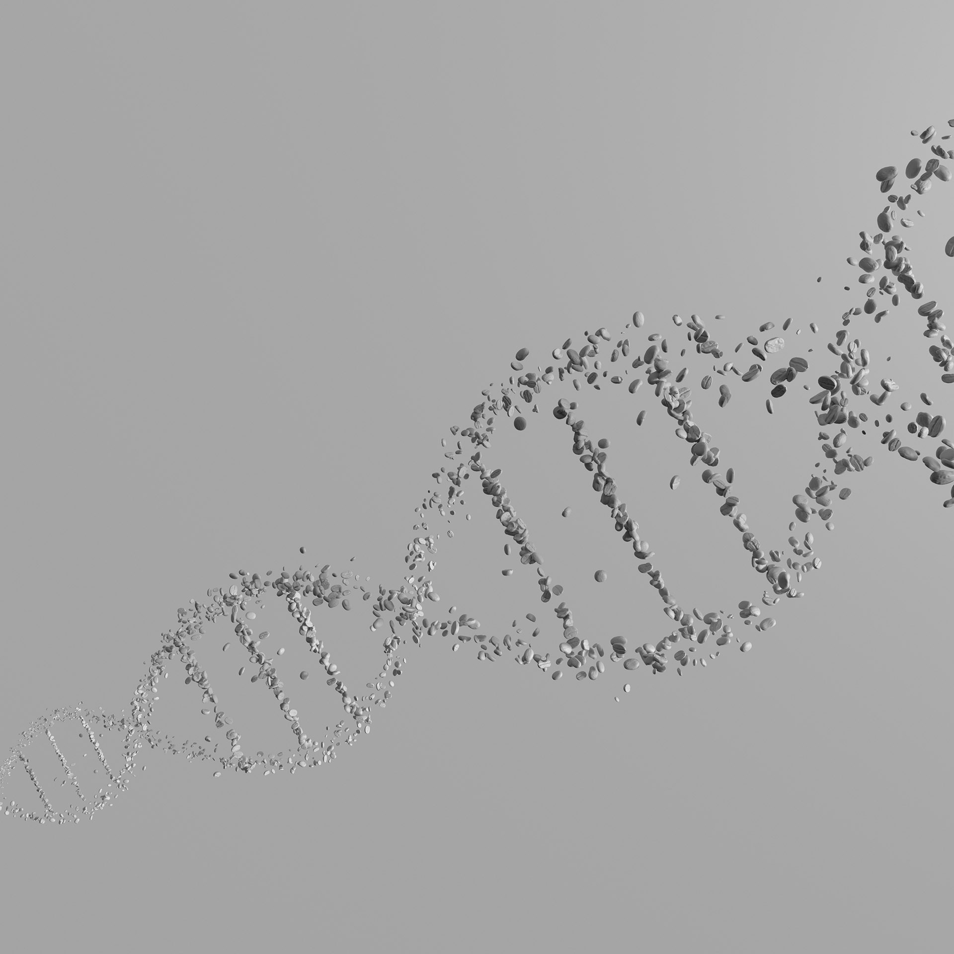 Lavazza_dna_3
