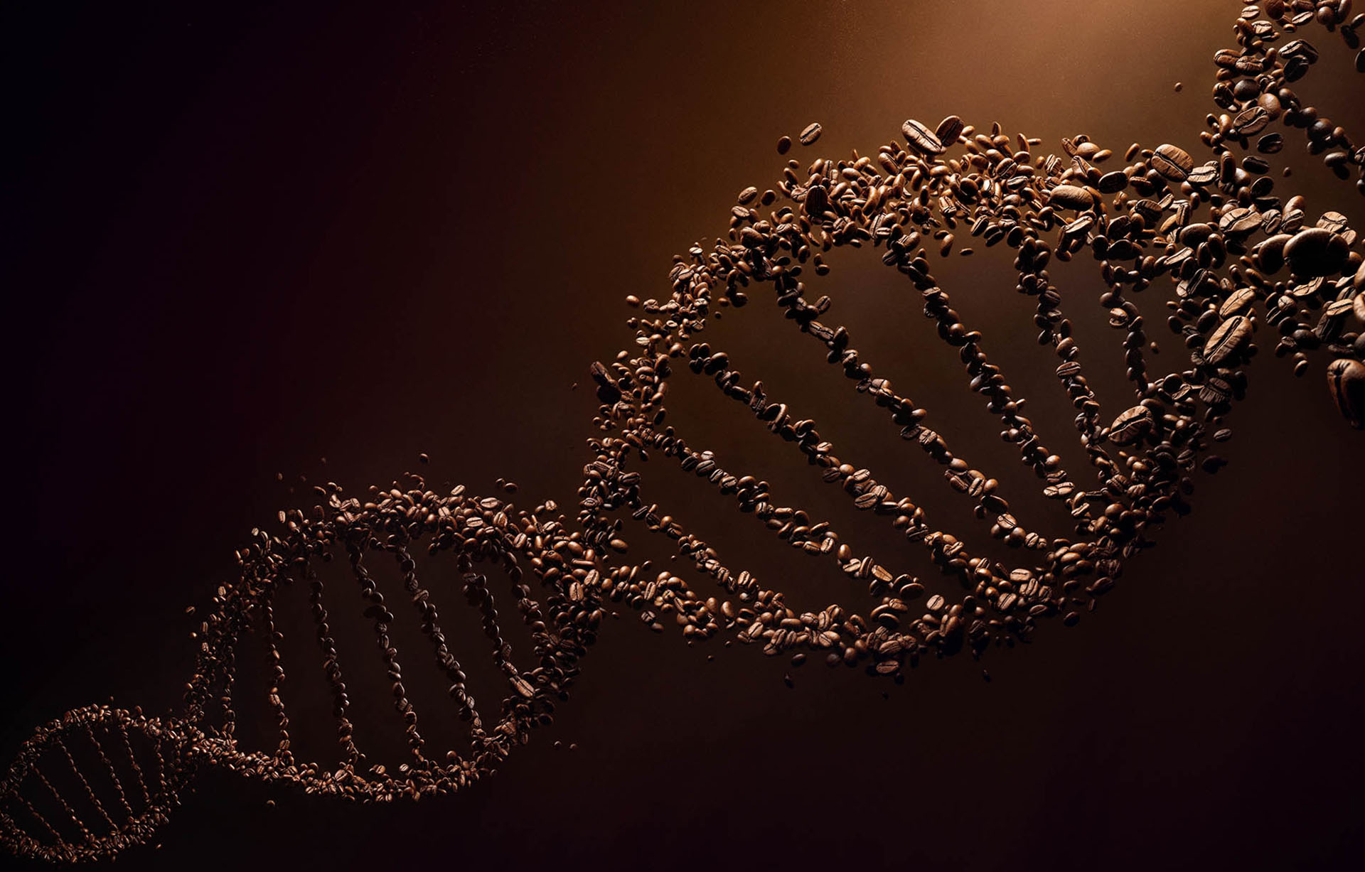 Lavazza – DNA