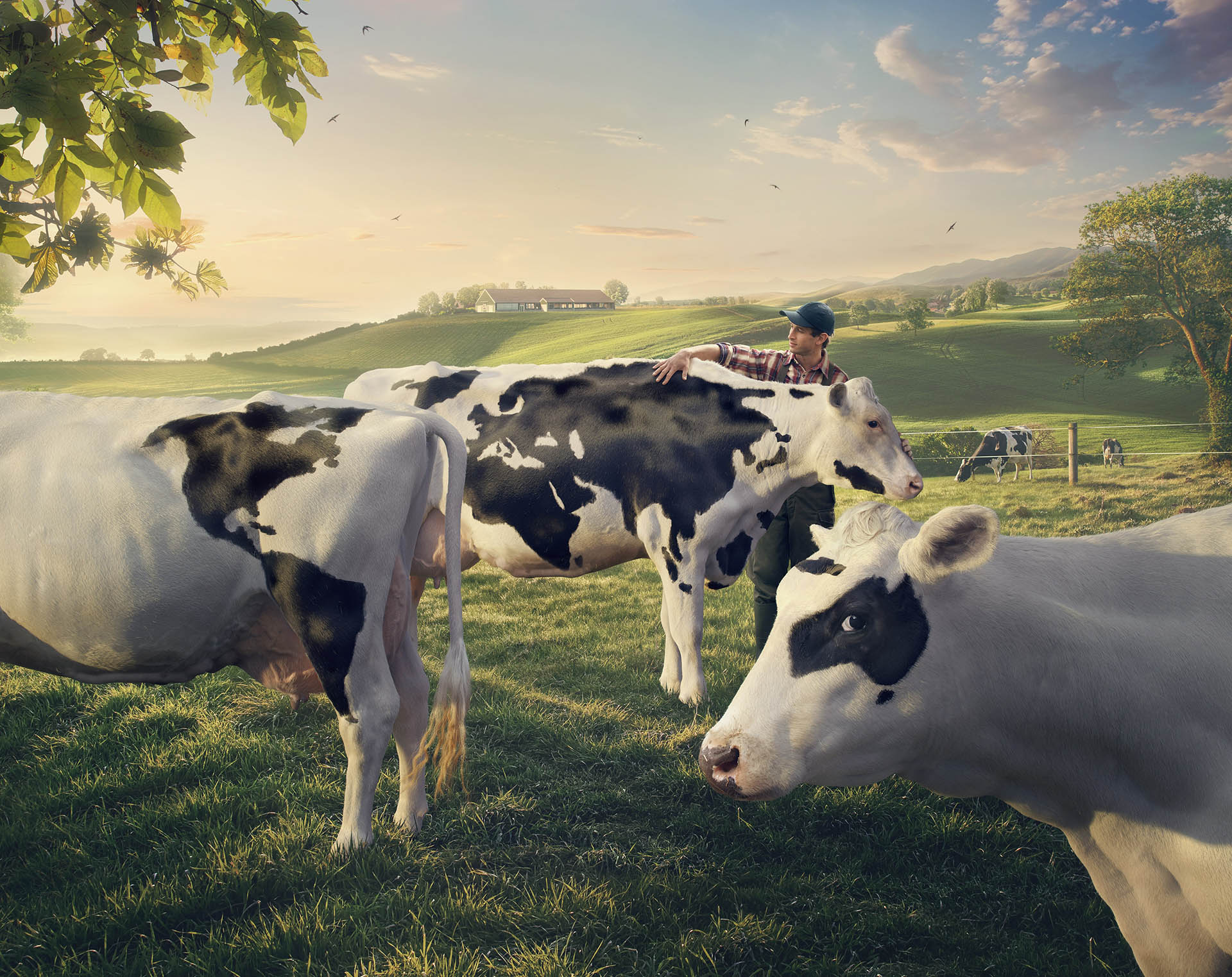 purina-mappamondo-1-1