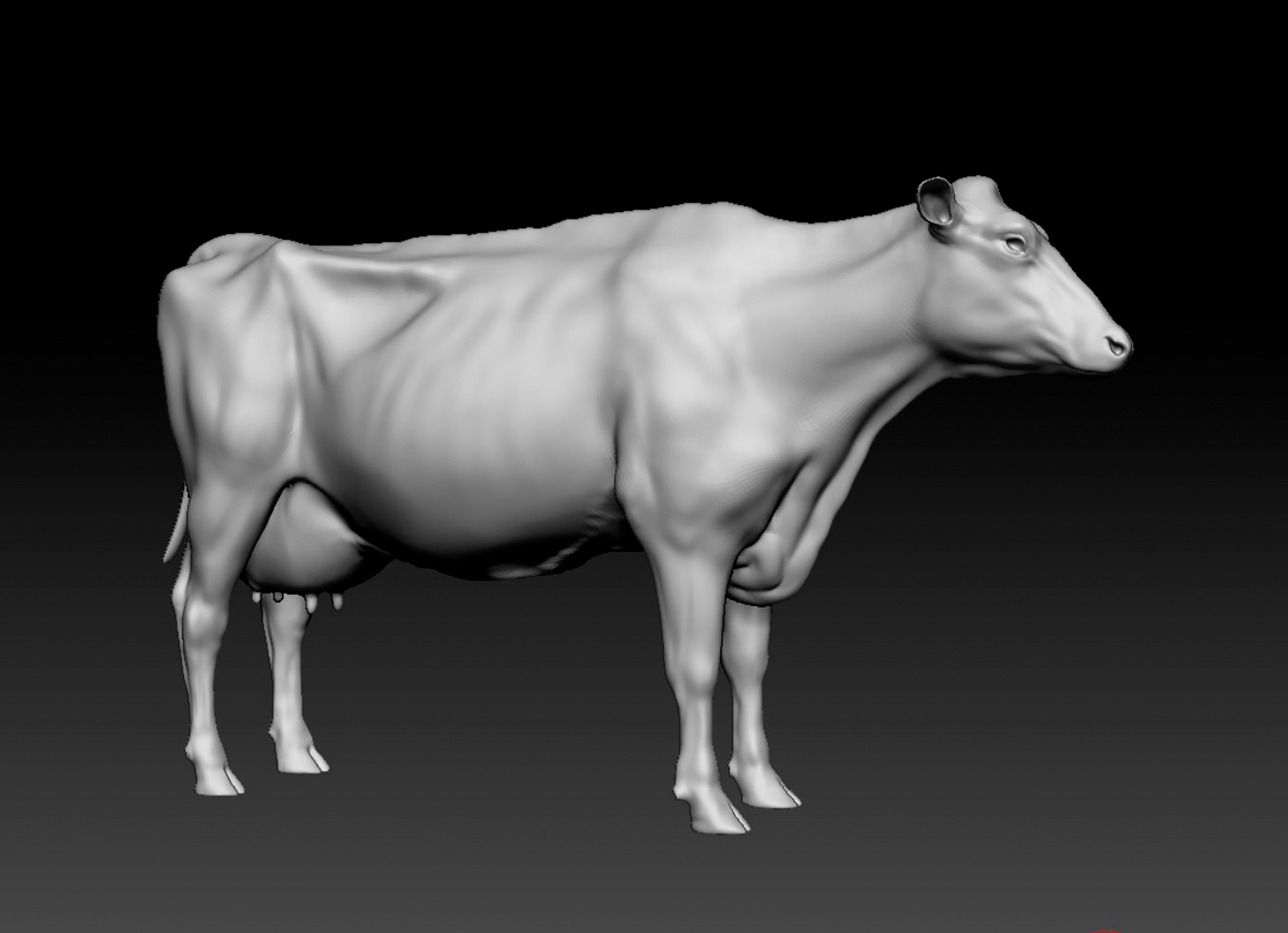 purina-mappamondo-7