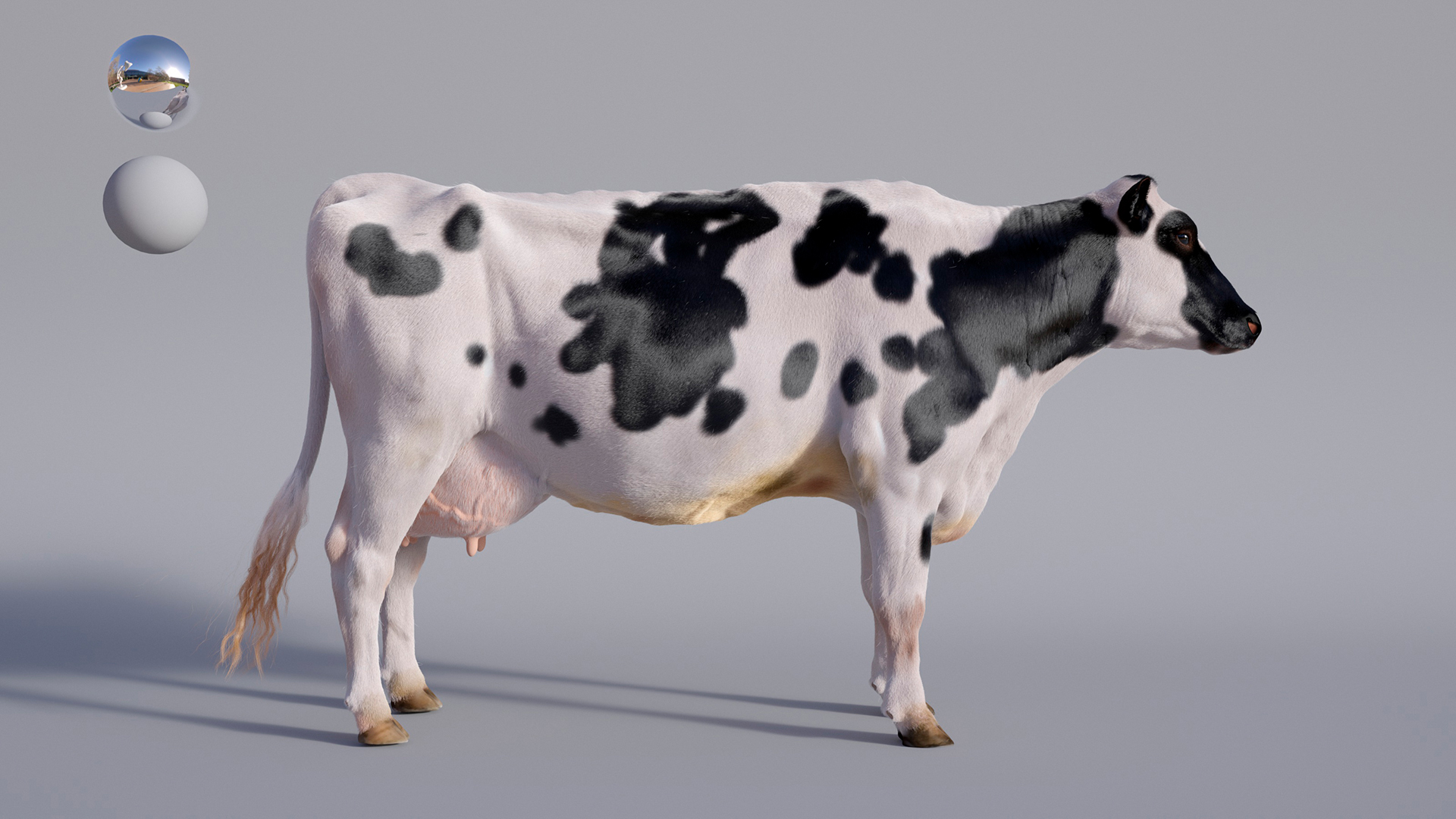 purina-mappamondo-8