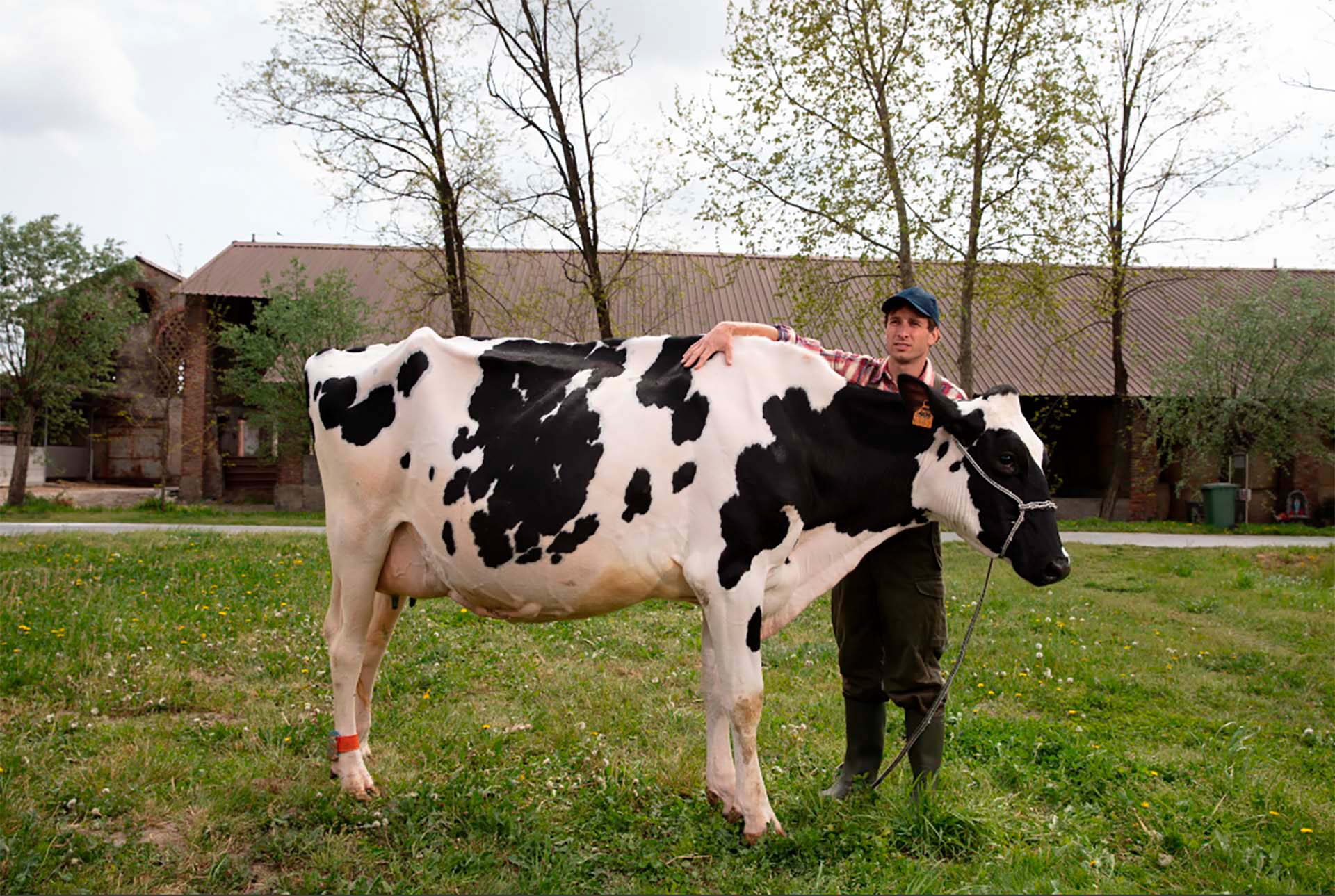 purina-mappamondo-9